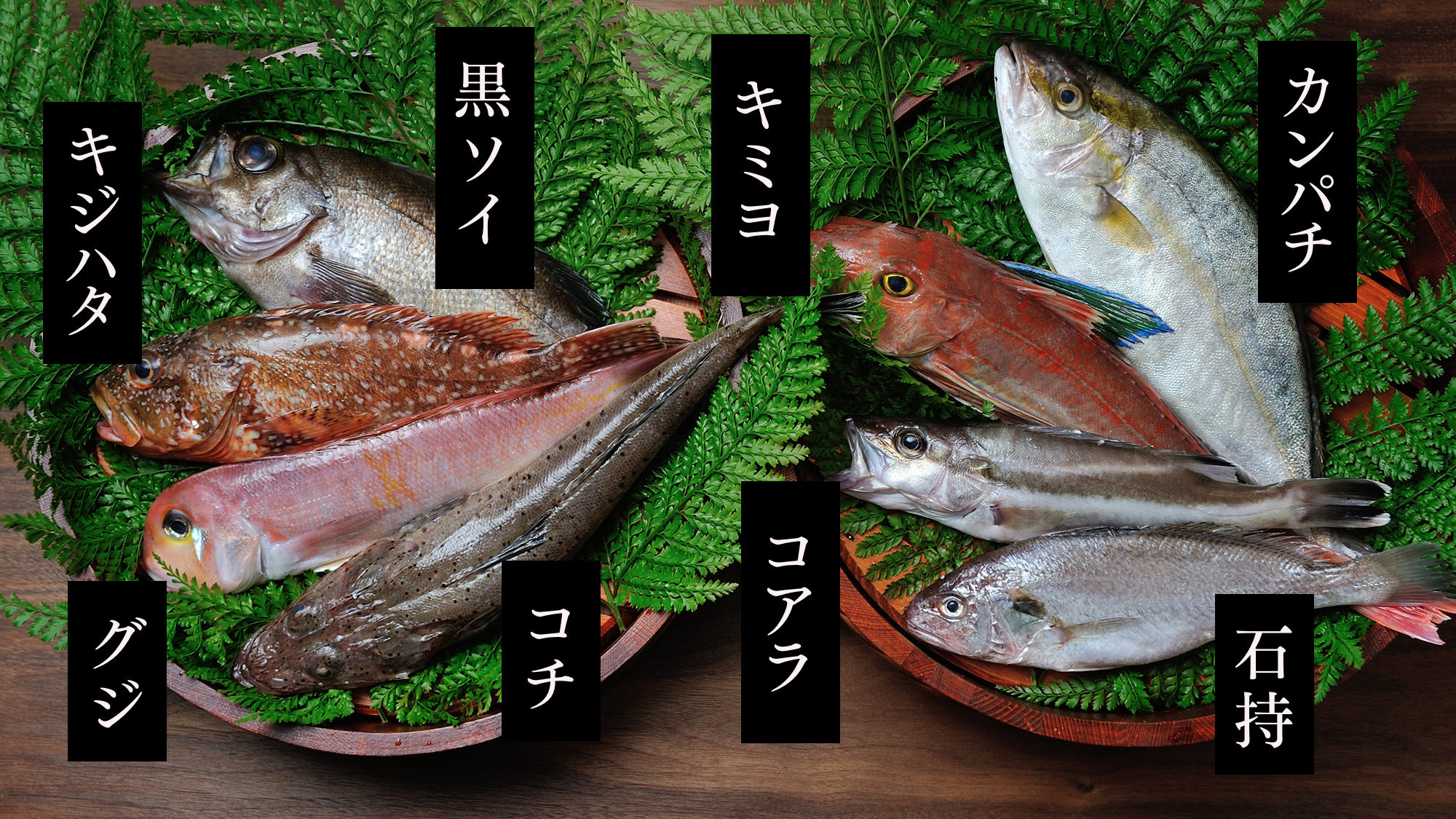 地魚
