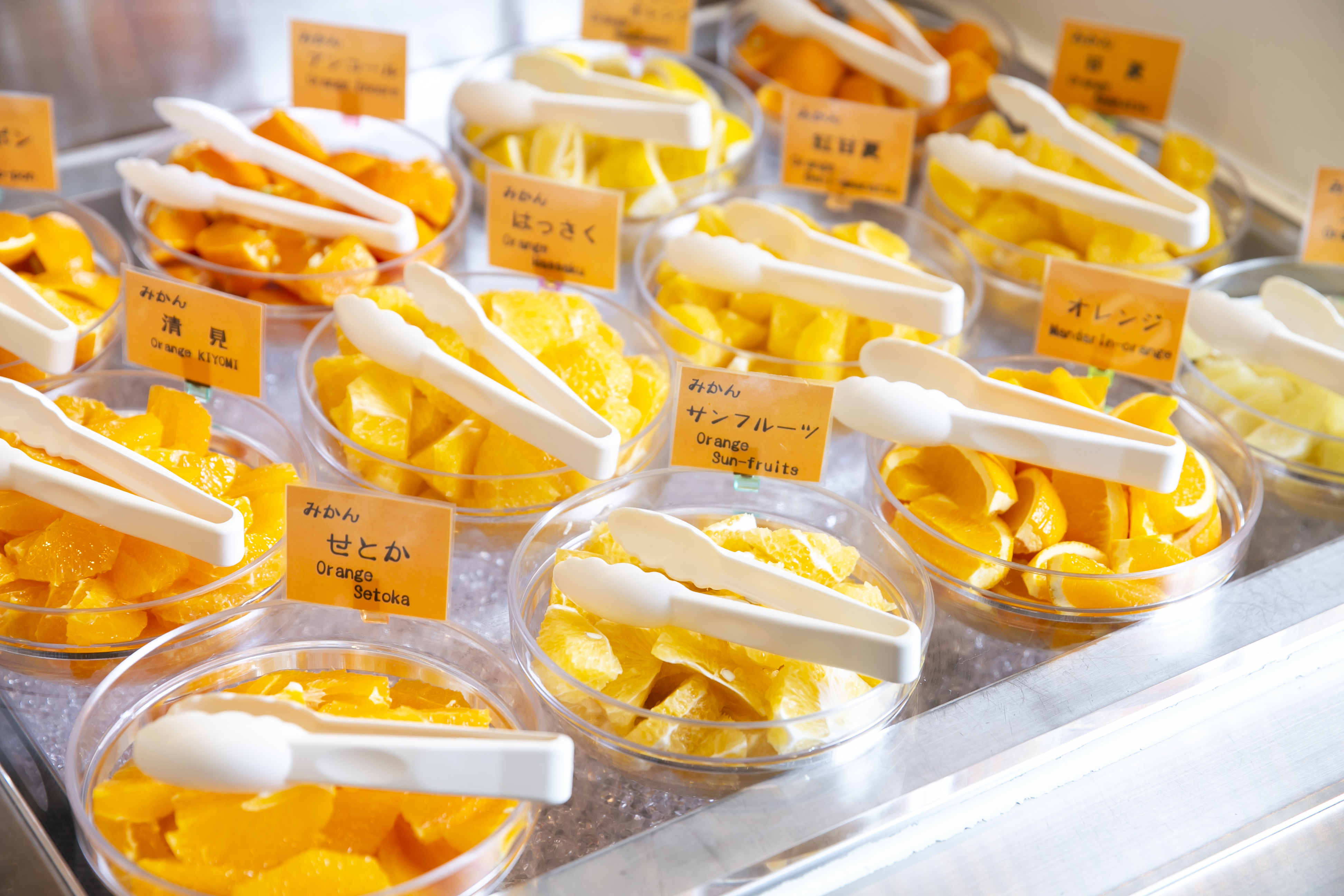 季節のフルーツコーナー