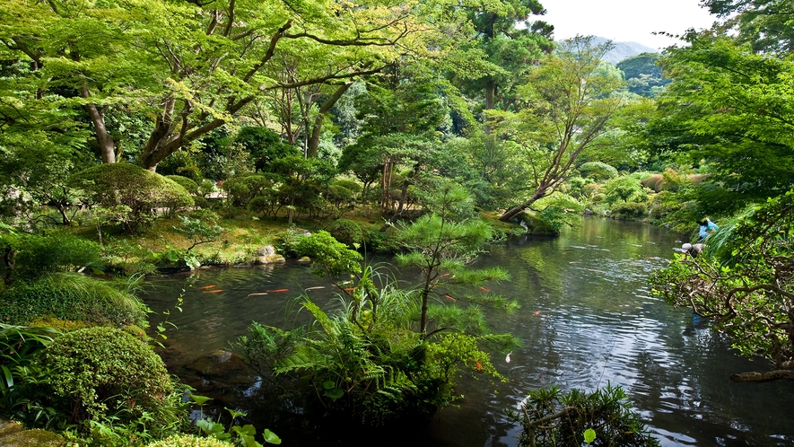 山月園　＜夏＞