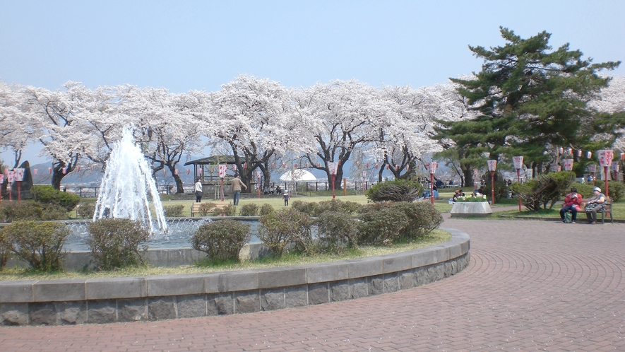 *【周辺】桂城公園／大館市を代表する桜の名所。当館より車で15分。