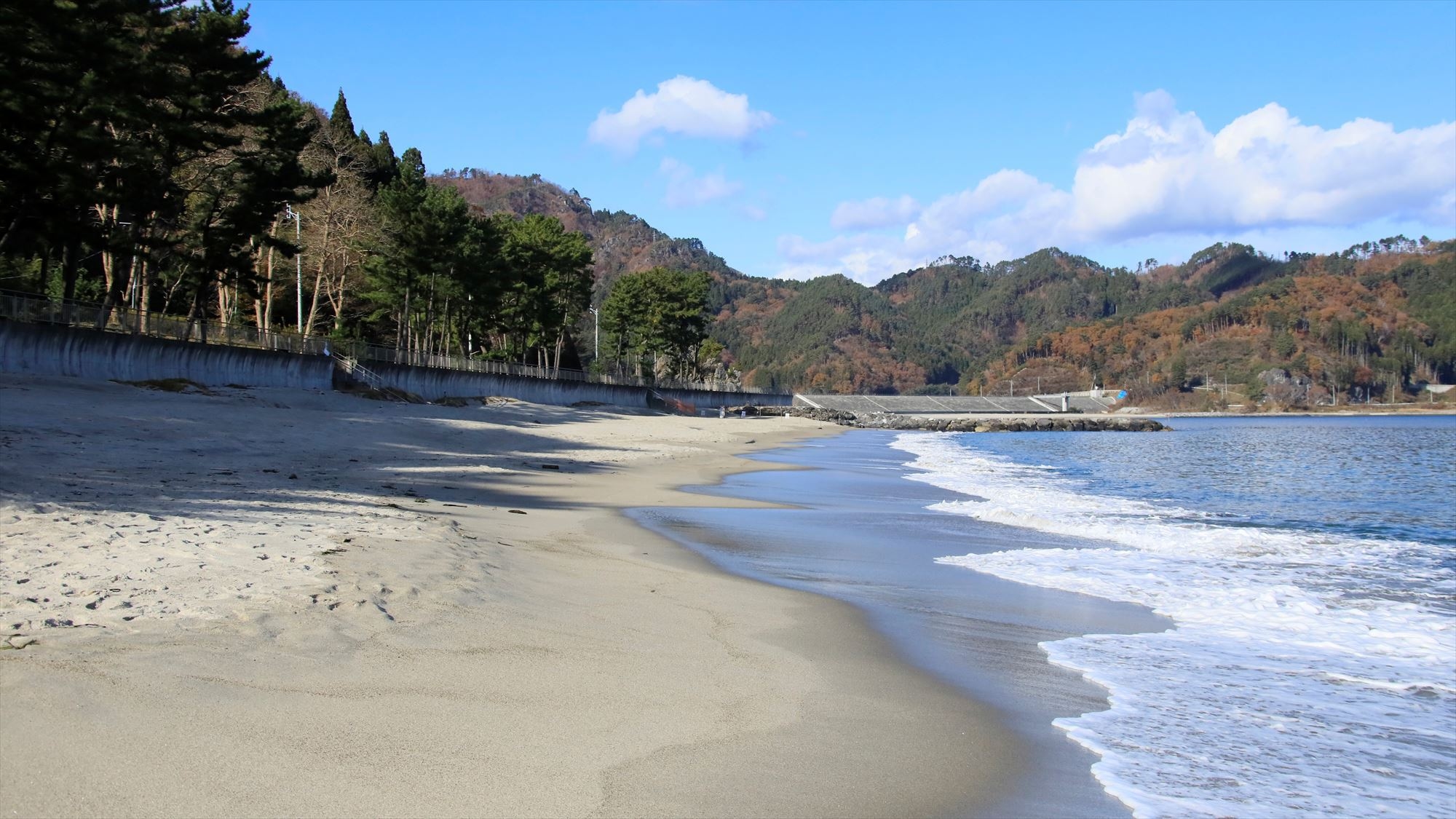 【一人旅・二食付きプラン】おひとり様歓迎！ビジネスにも！旬の三陸魚介を堪能