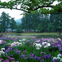 ■世界文化遺産　平泉