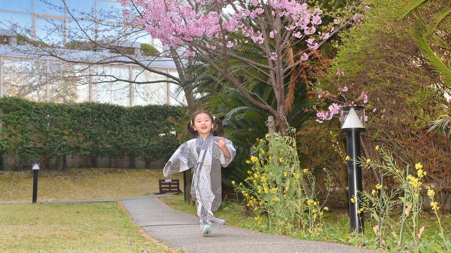 【中庭】お庭の芝生スペースで子どもと遊べる！