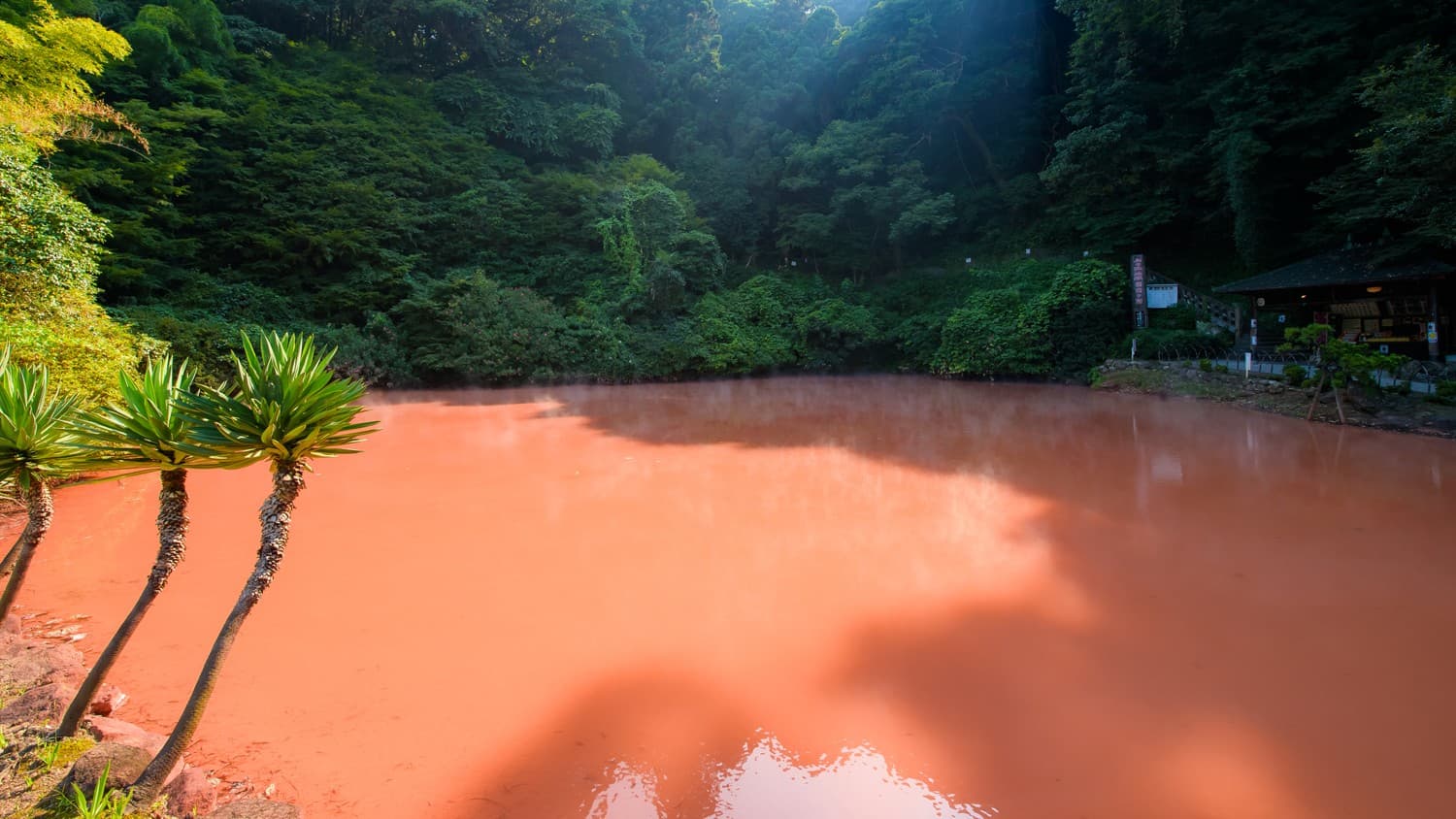 【周辺施設／レジャー】血の池地獄
