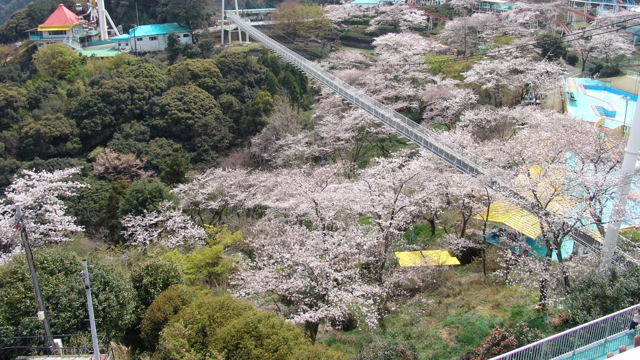 【周辺施設/レジャー】別府ラクテンチ