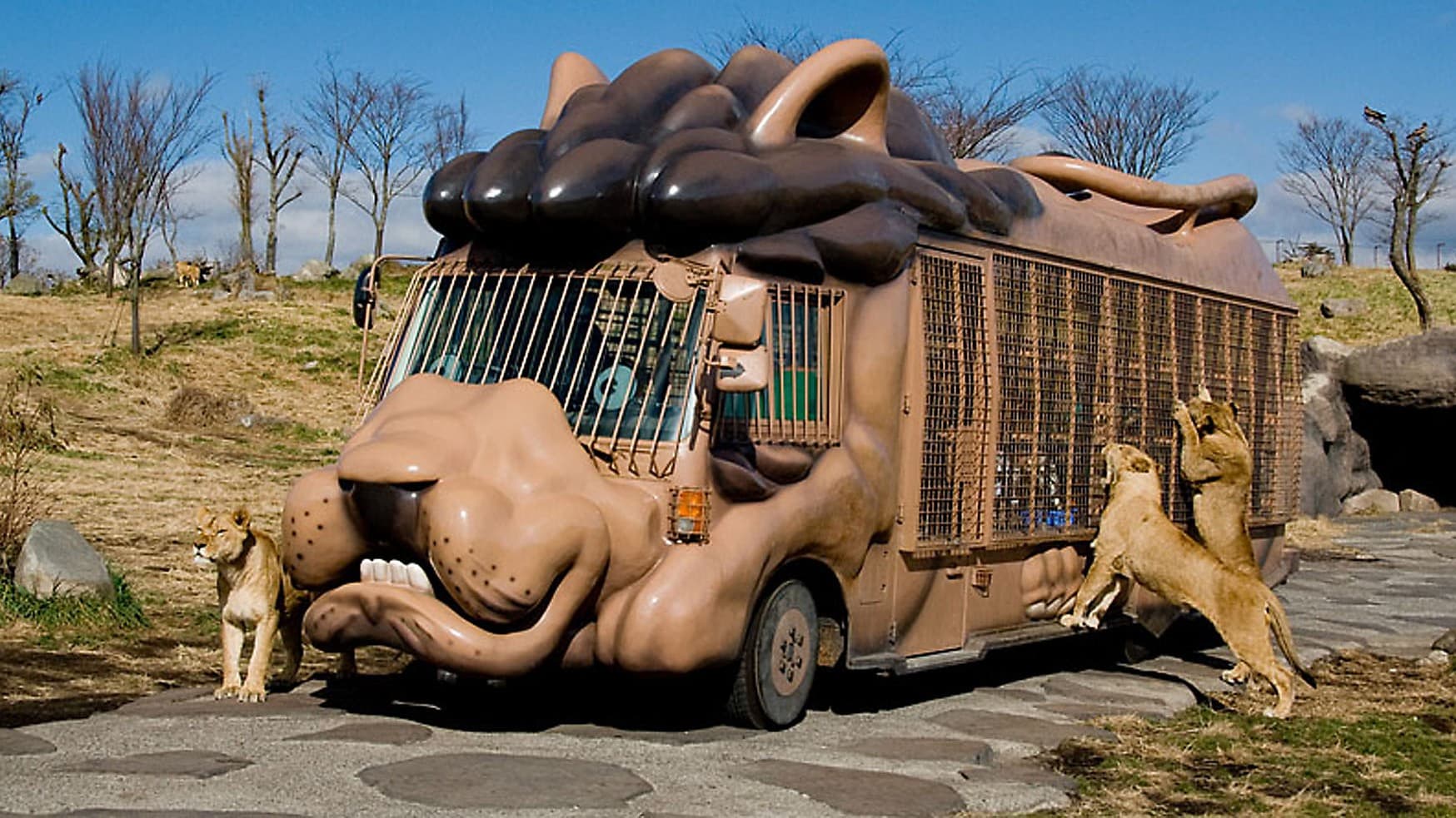 【周辺施設／レジャー】アフリカンサファリ