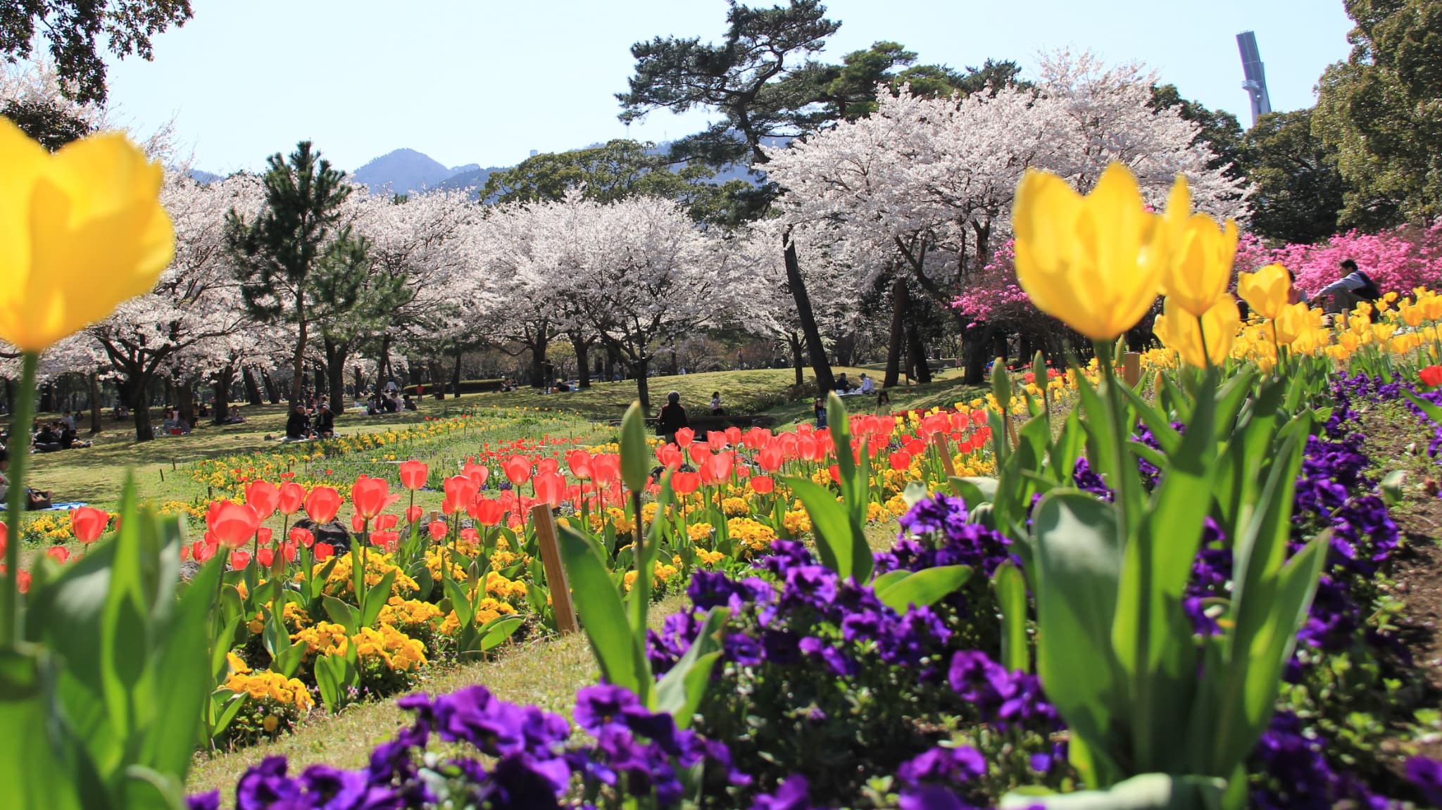 【周辺施設/レジャー】別府公園