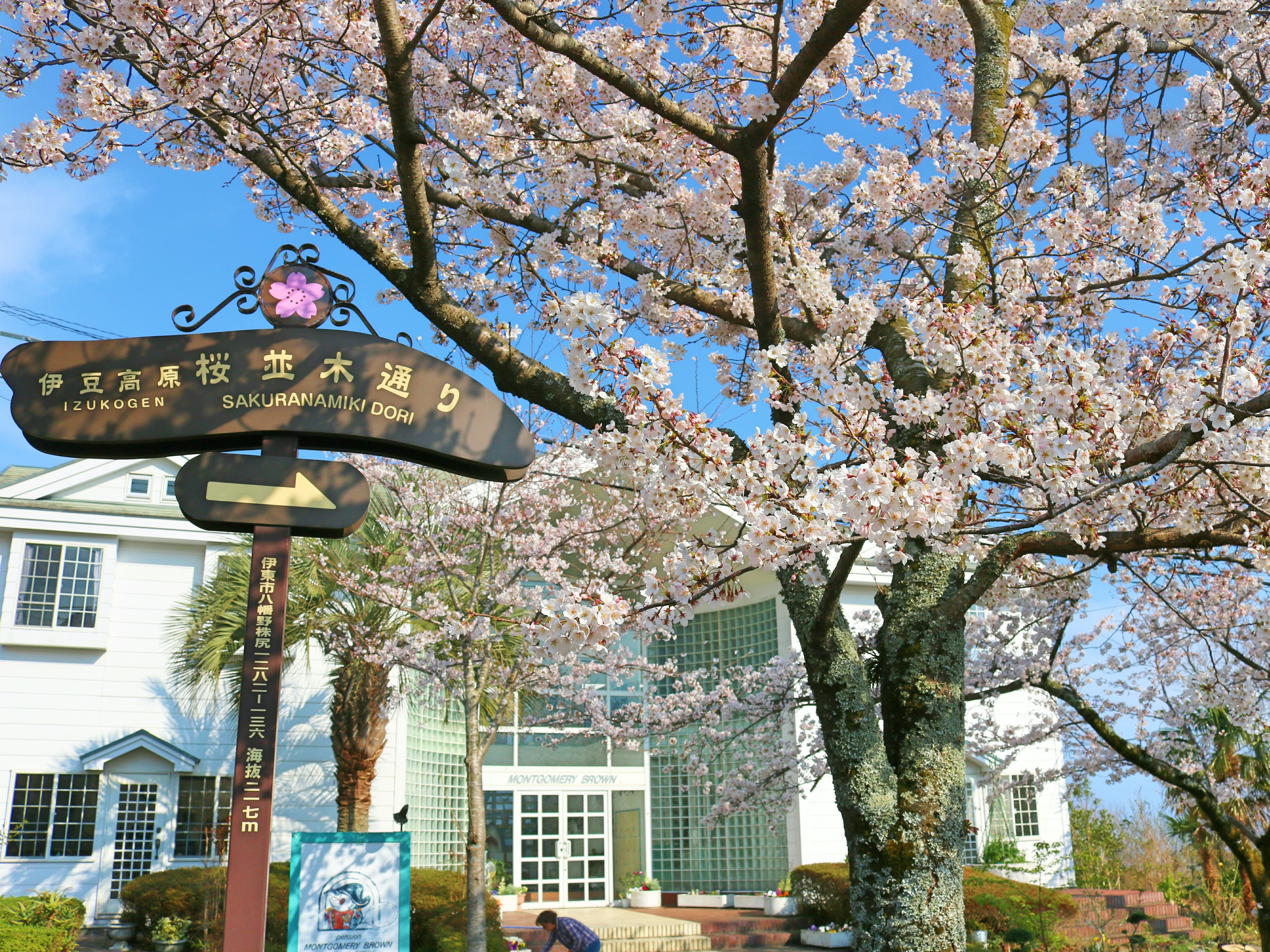 モンゴメリーブラウンイン伊豆高原 写真 動画 楽天トラベル モンゴメリーブラウンイン伊豆高原 写真 動画 楽天トラベル