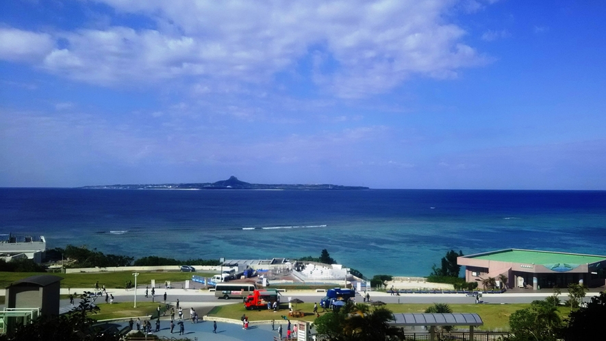 美ら海水族館・当館から車で約10分