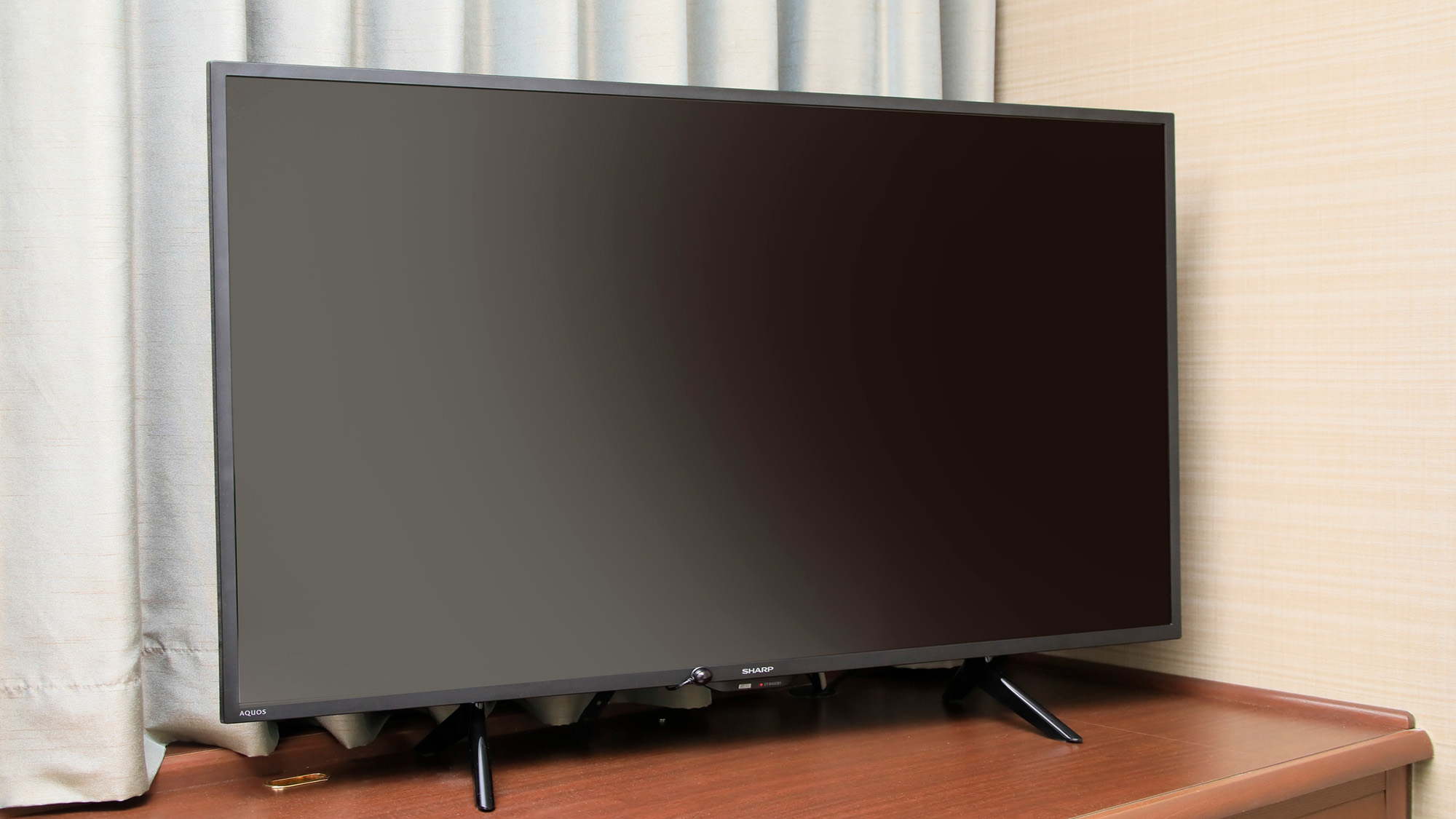 全室テレビは４０インチサイズ