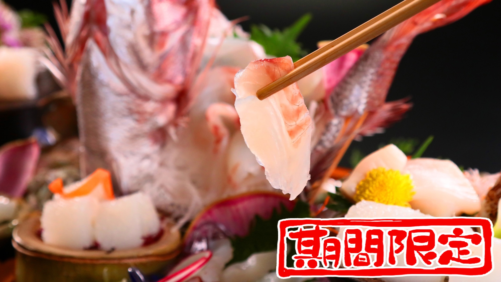 【通常よりもお得！】週末限定♪スタンダード会席☆◆色鮮やかな四季を感じる海の幸【個室食対象】