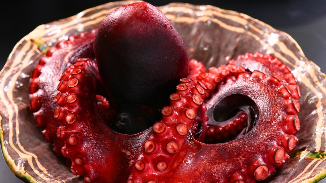 日間賀島 オーシャンビューホテル晴快荘 日帰り デイユースプラン一覧 楽天トラベル 日間賀島 オーシャンビューホテル晴快荘 日帰り デイユースプラン一覧 楽天トラベル