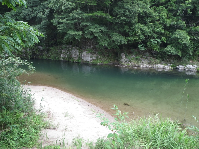 巴川の秘境『片淵（かたぶち）と砂地』上半分