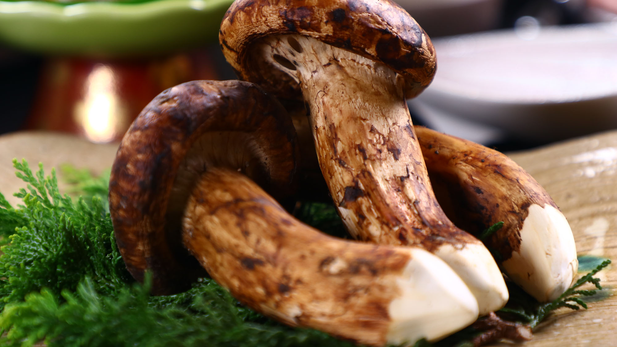 【夕食】松茸七輪焼き*