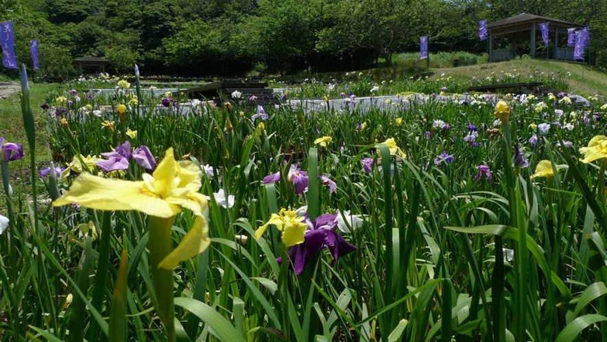 初立池公園