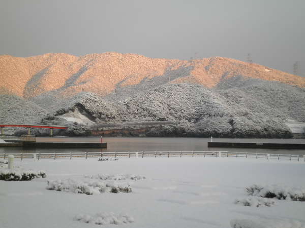 雪の大島半島と青戸大橋