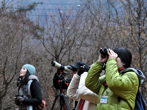 初心者歓迎！新緑の森でバードウォッチングプラン