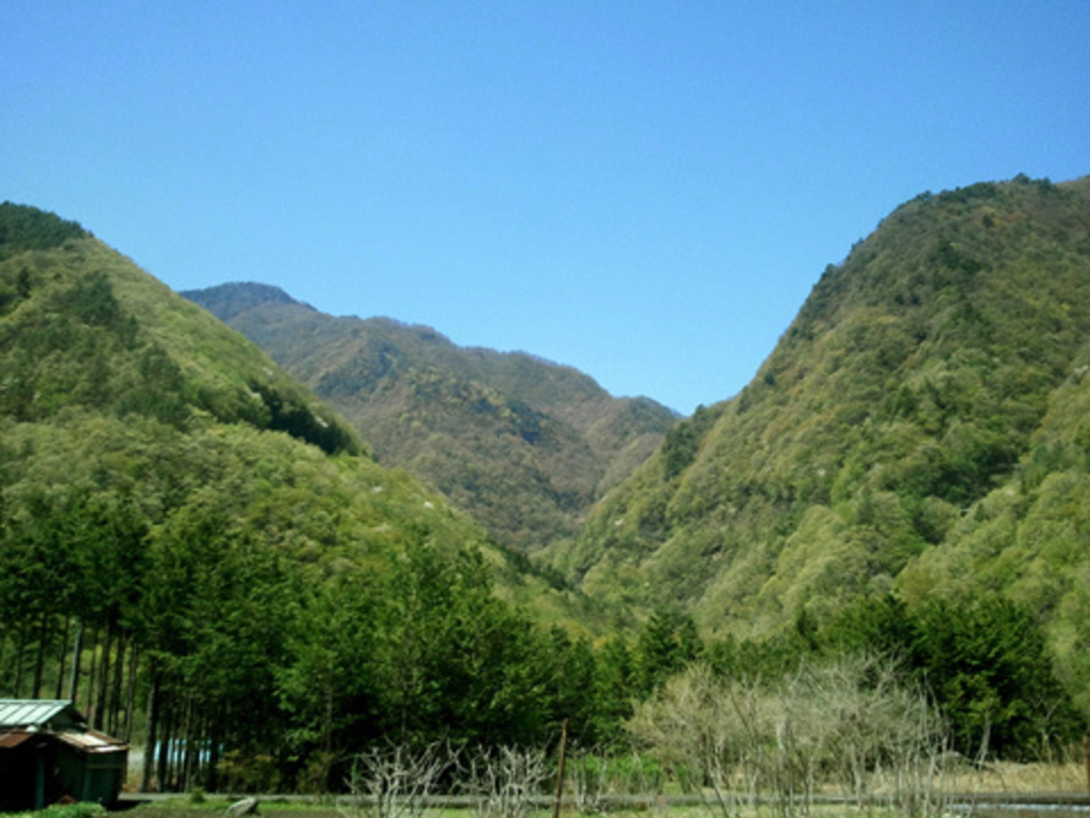 町営 光源の里温泉 ヘルシー美里 宿泊予約 楽天トラベル