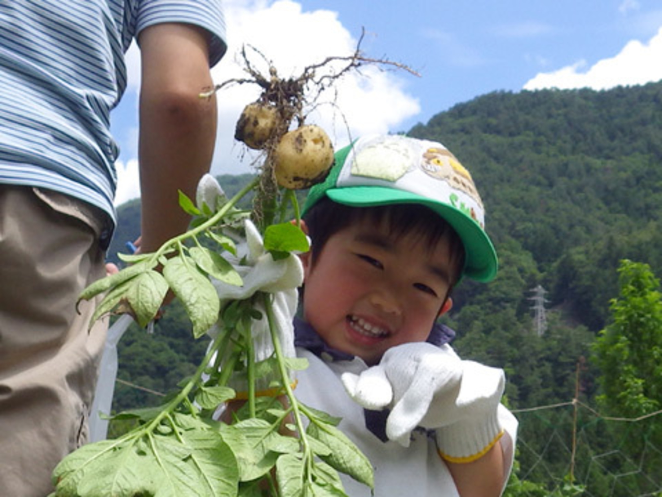 町営 光源の里温泉 ヘルシー美里 宿泊予約 楽天トラベル