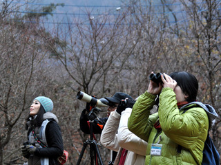 Let's バードウォッチング