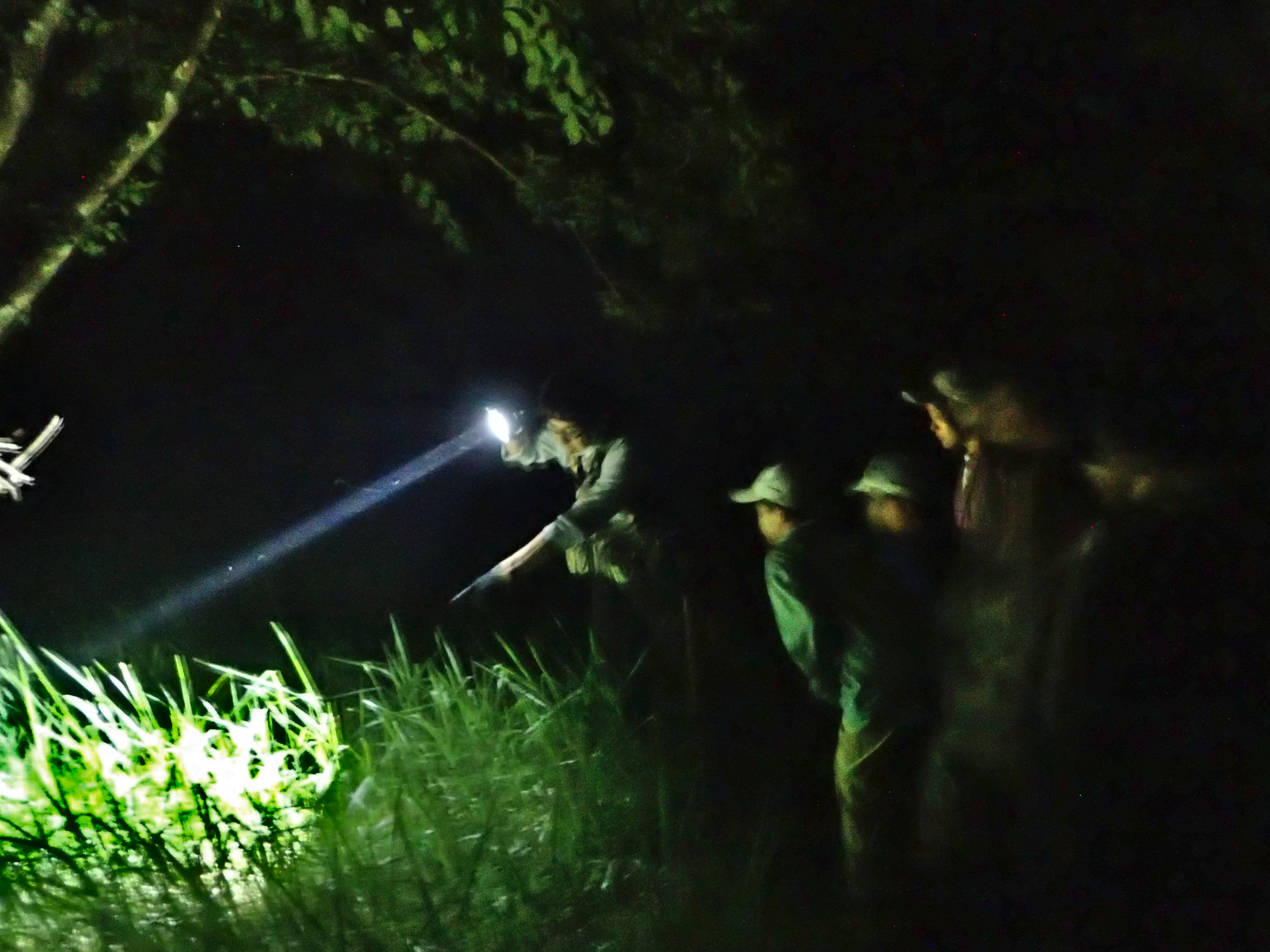 夜の森へ探検に行こう！