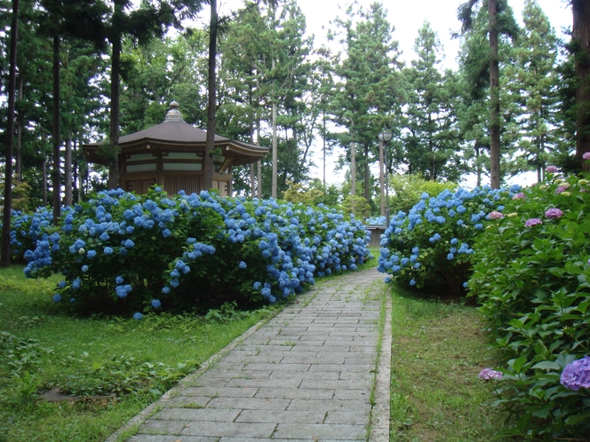 館山史跡公園