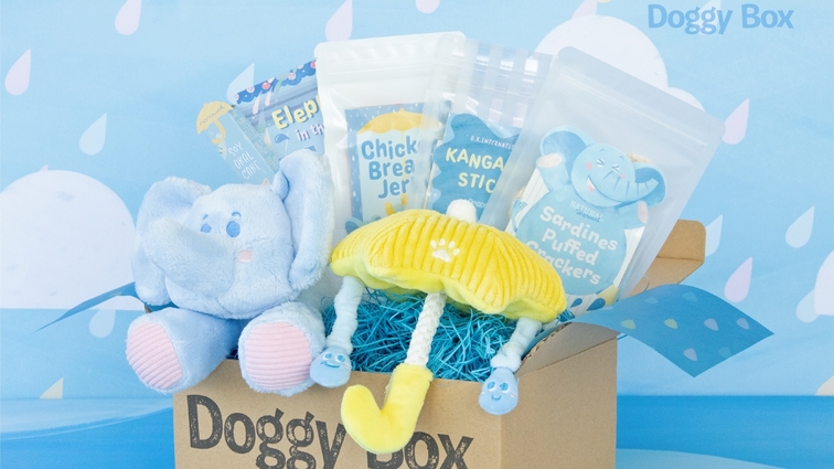 【Doggy Boxコラボ／小型犬用】愛犬へサプライズ！限定Boxプレゼント＜特選コース■＞　