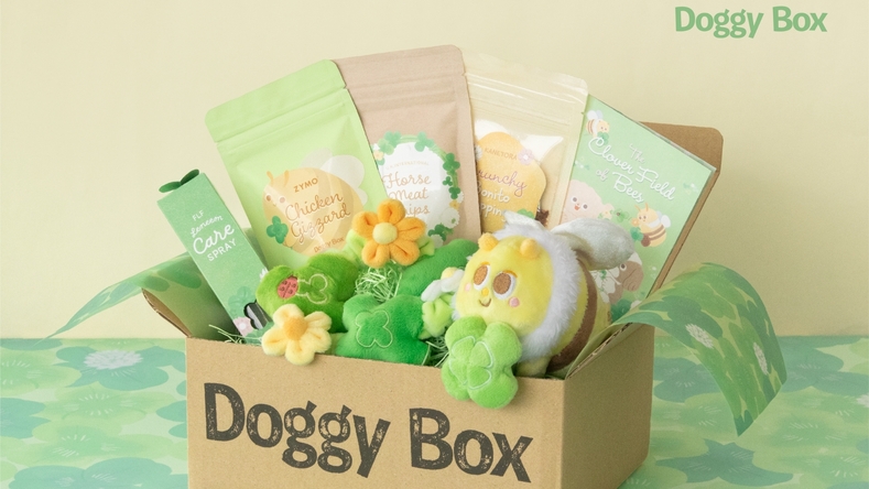 【Doggy Boxコラボ／小型犬用】愛犬へサプライズ！限定Boxプレゼント＜特選コース■＞　