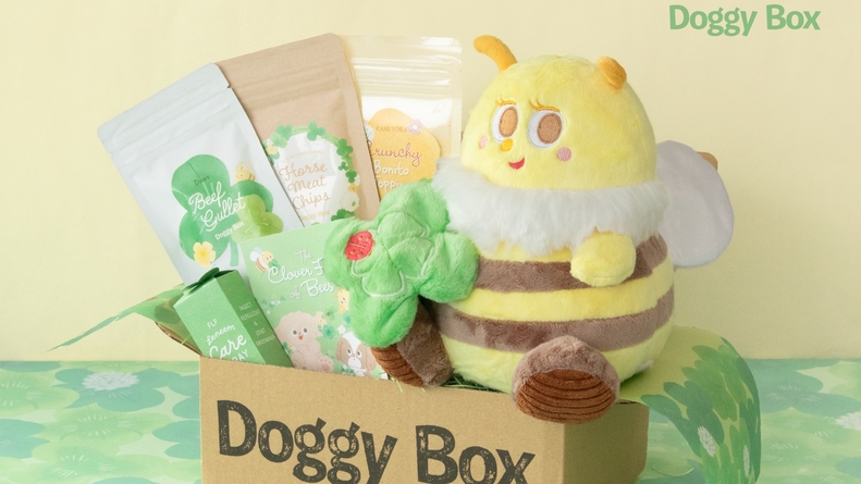 【Doggy Boxコラボ／中型・大型犬用】愛犬へサプライズ！限定Boxプレゼント＜特選コース■＞　