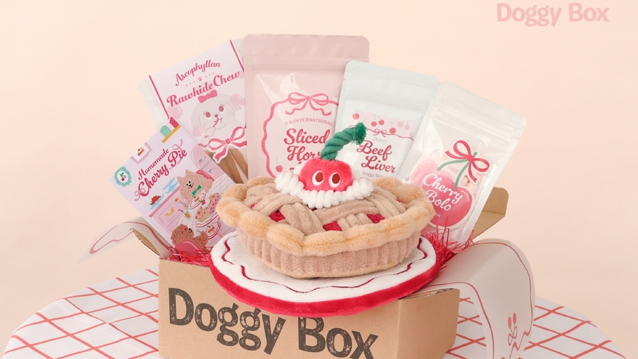 【Doggy Boxコラボ／中型・大型犬用】愛犬へサプライズ！限定Boxプレゼント＜特選コース■＞　