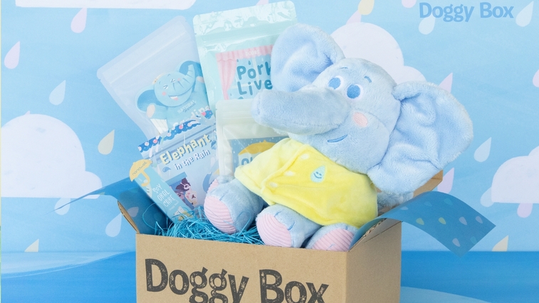 【Doggy Boxコラボ／中型・大型犬用】愛犬へサプライズ！限定Boxプレゼント＜特選コース■＞　