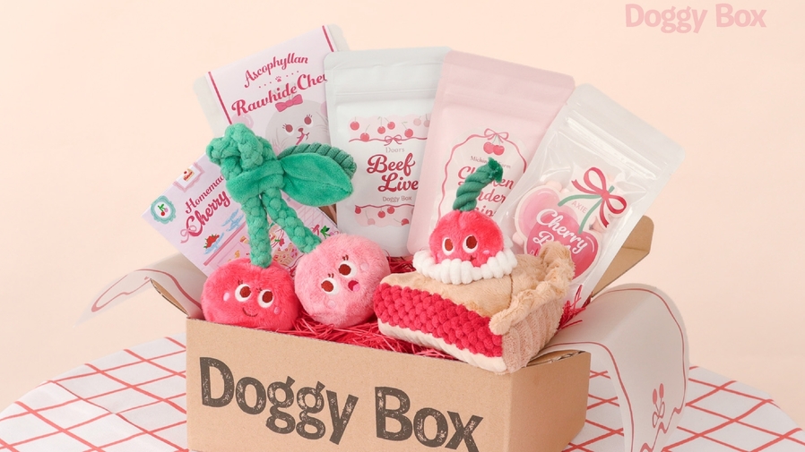 【Doggy Boxコラボ／小型犬用】愛犬へサプライズ！限定Boxプレゼント＜特選コース■＞　