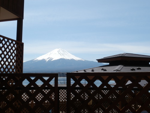 Mt. Fuji from the C-shaped terrace