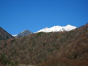 野の花山荘 宿泊予約 楽天トラベル 野の花山荘 宿泊予約 楽天トラベル