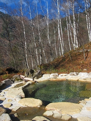 野の花山荘 写真 動画 楽天トラベル