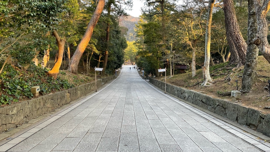 正面鳥居から続く参道