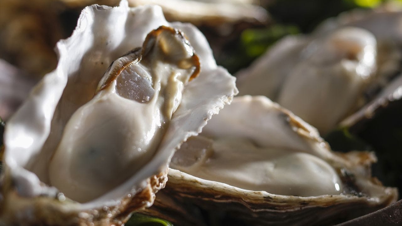 時が織りなす、志摩の恵みとの出逢い  「美味新撰」　瑞穂