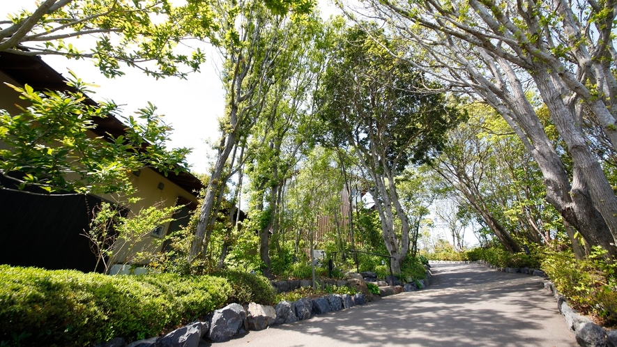 客室＿海里のはなれ「花の冠」