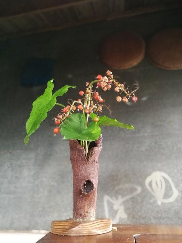 花ぬ元 辺名地の宿 格安予約 宿泊プラン料金比較 トラベルコ