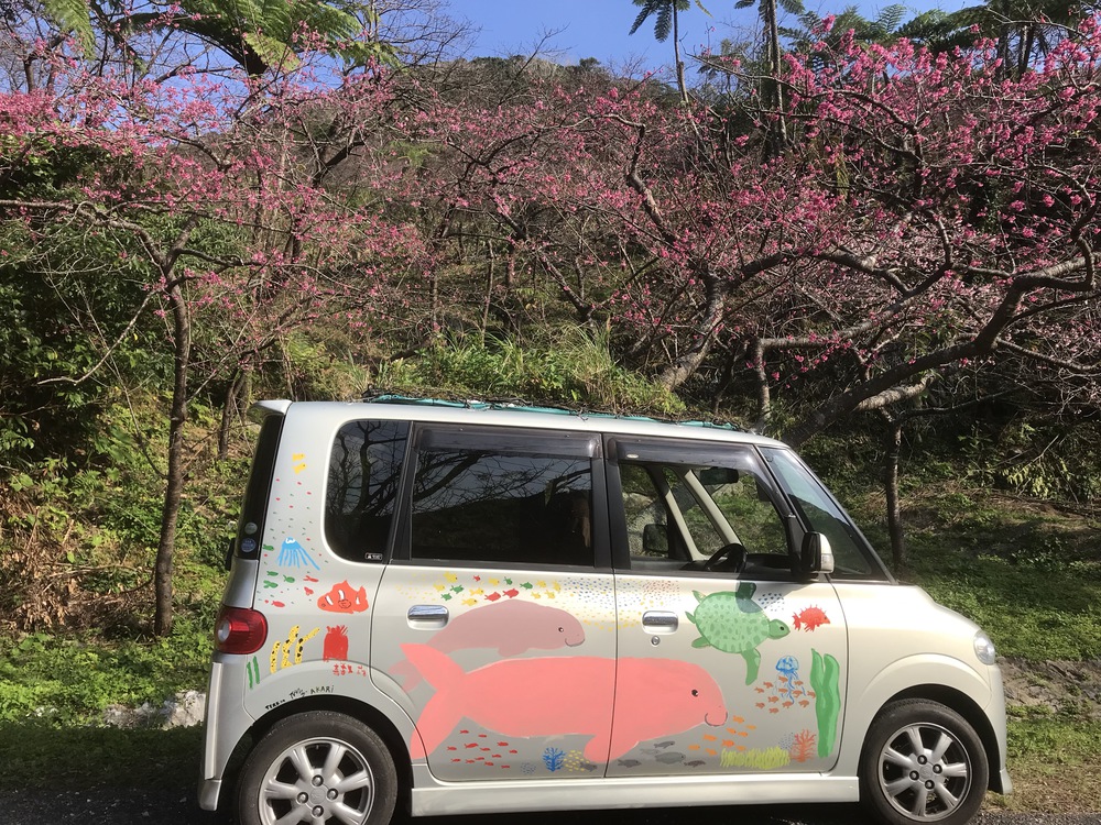 花ぬ元 辺名地の宿 格安予約 宿泊プラン料金比較 トラベルコ 花ぬ元 辺名地の宿 格安予約 宿泊プラン料金比較 トラベルコ