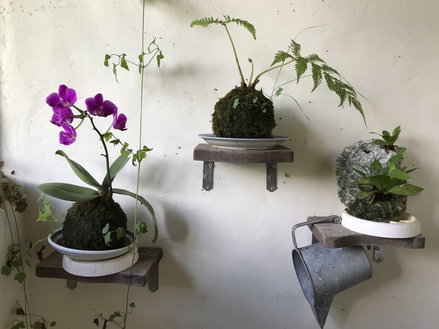 花ぬ元 辺名地の宿 格安予約 宿泊プラン料金比較 トラベルコ 花ぬ元 辺名地の宿 格安予約 宿泊プラン料金比較 トラベルコ