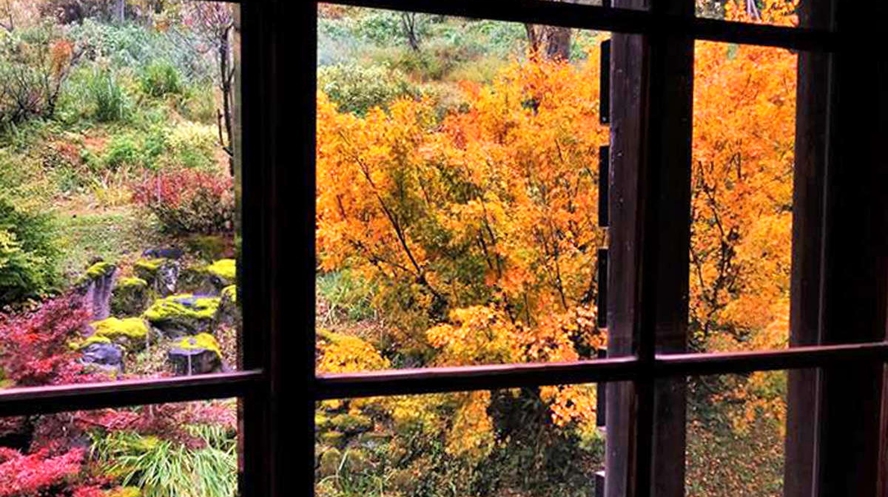 【館内からの風景（秋）】10月中旬頃から11月中旬頃までが紅葉の見ごろとなります。
