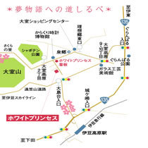 全室海一望露天風呂付　ホワイトプリンセス - 写真 143