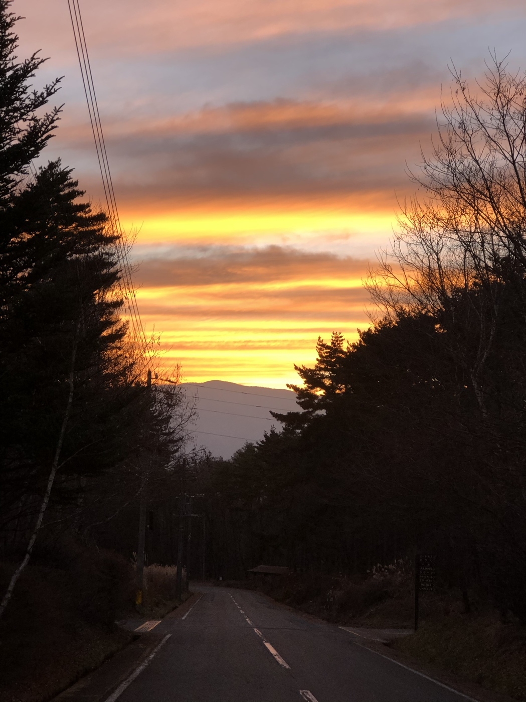 金曜の夜から泊まりたいプラン　！