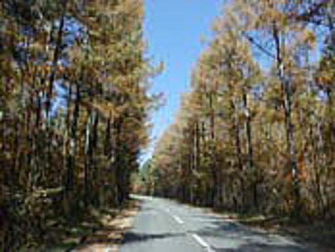 青空高森道路