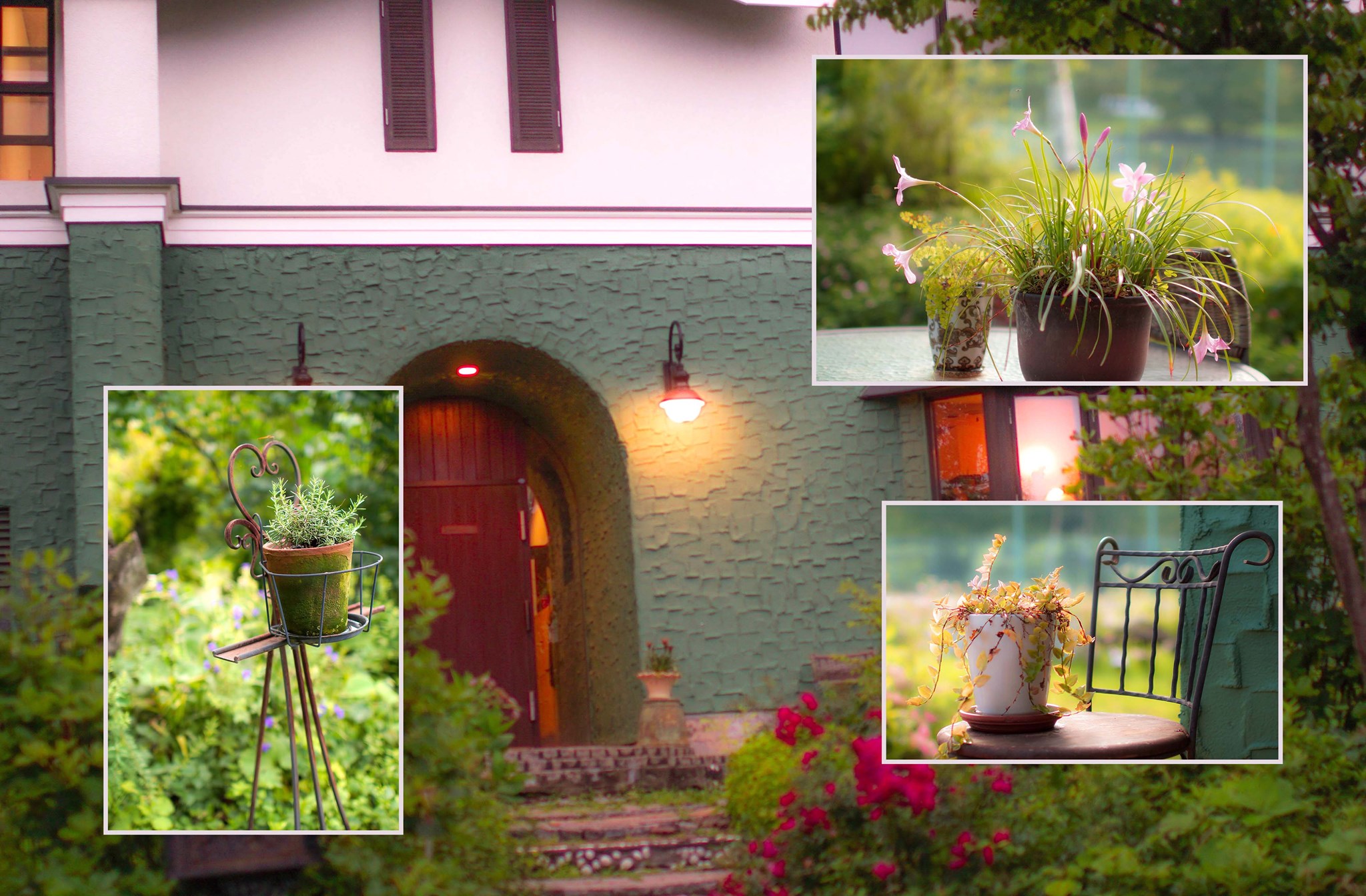 富士見高原ペンション ryozo 宿泊予約 楽天トラベル 富士見高原ペンション ryozo 宿泊予約 楽天トラベル