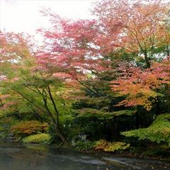 嵯峨沢館　秋