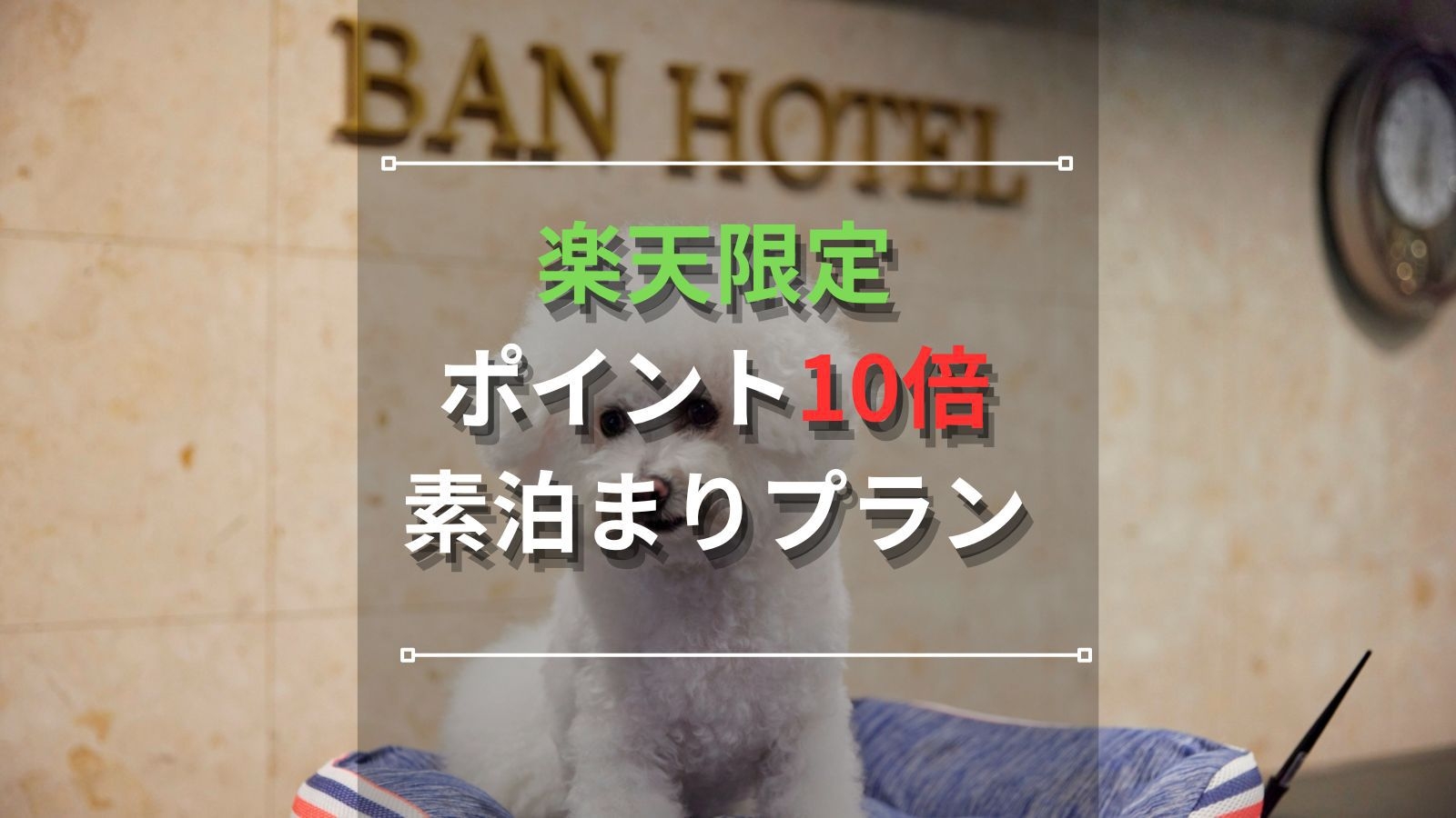 【ポイント10倍｜素泊まり】ビジネス・出張応援♪ポイント大量GETでお得に宿泊＜楽天限定＞