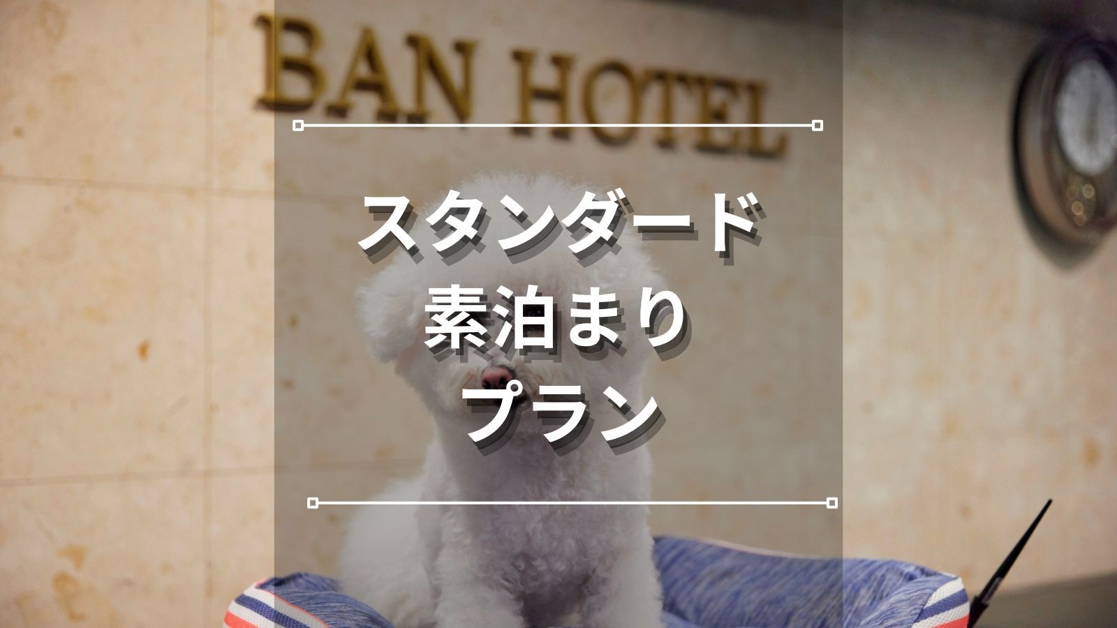 【スタンダード｜素泊まり】築地駅3分◆屋上にシーシャカフェ＆バー有り＋サウナ利用可(別料金)