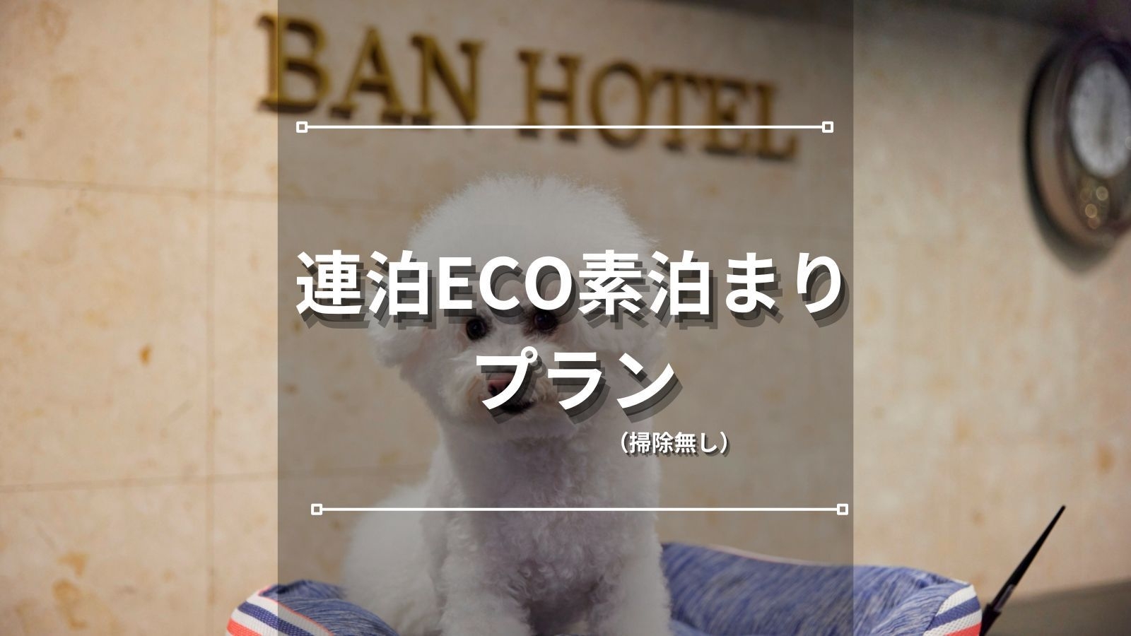 【連泊ECOプラン｜素泊まり】 2連泊以上でお得にステイ♪築地駅3分とアクセス抜群(掃除なし)